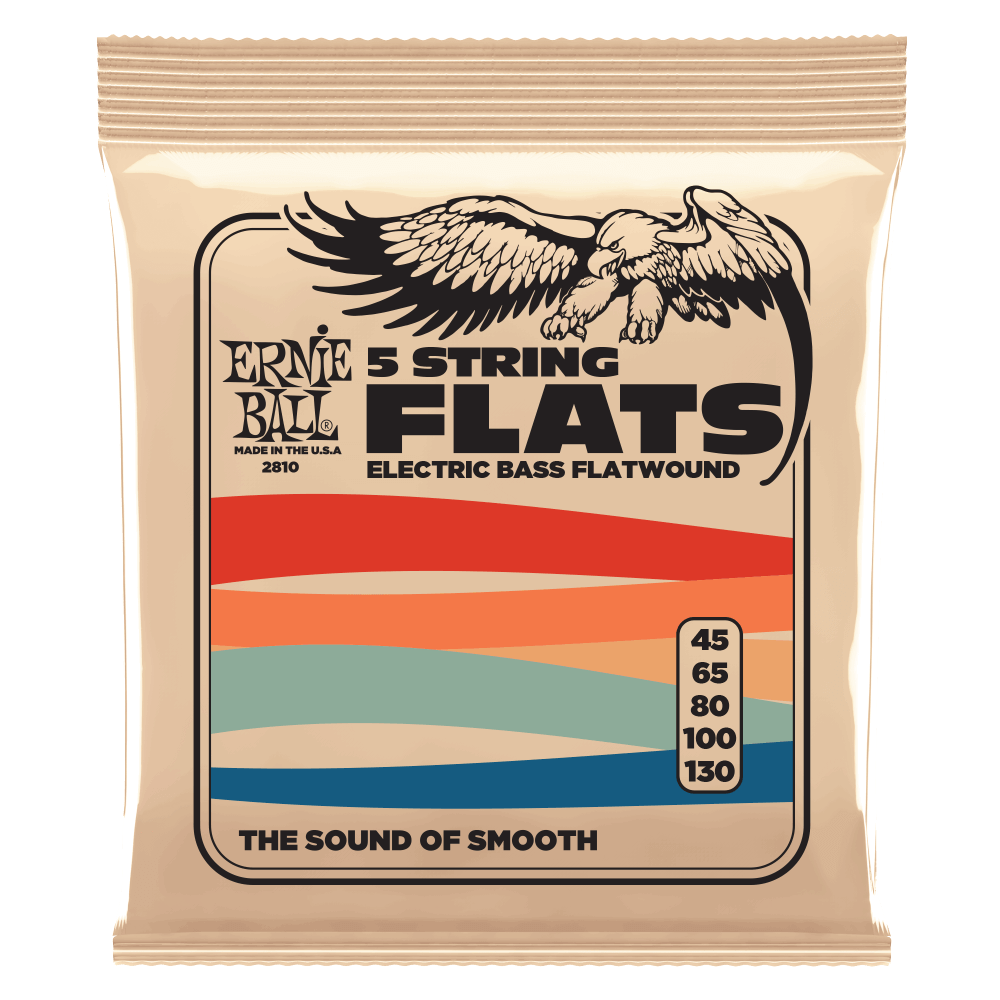 Ernie Ball 2810 Flatwound Electric Bass Guitar Strings - .045-.130 5-string