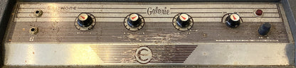 USED 1965 Epiphone Galaxie EA-33RVT 17-Watt 1 x 10" Tube Electric Guitar Combo Amplifier