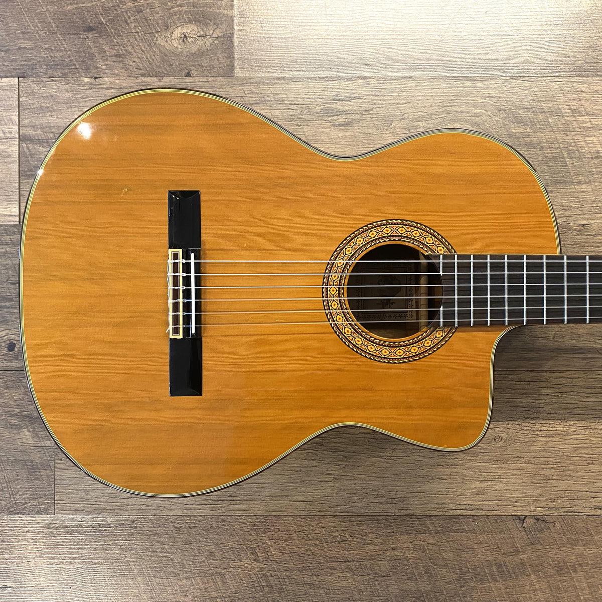 Takemine TC132SC Natural Gloss Finish Classical Nylon-String Acoustic Electric Guitar with Hardshell Case & Guitar Stand