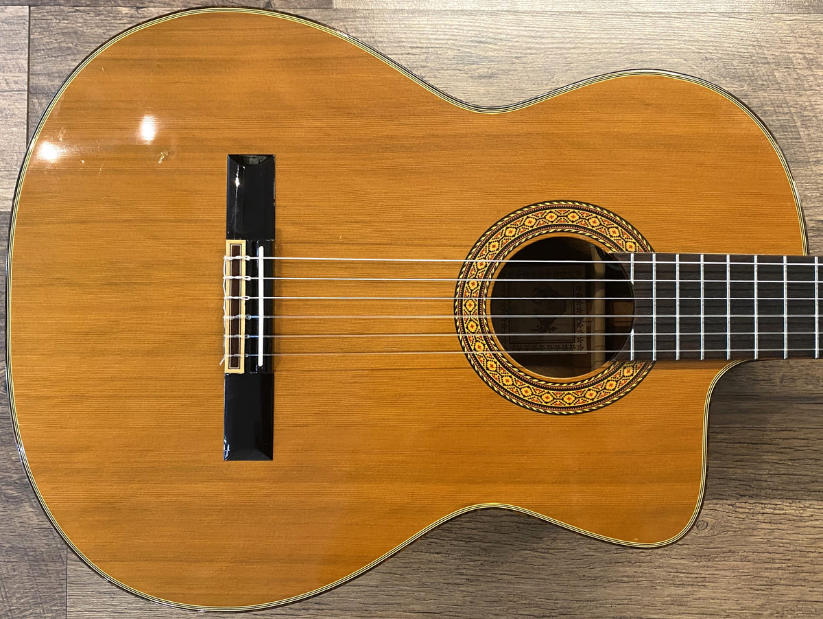 Takemine TC132SC Natural Gloss Finish Classical Nylon-String Acoustic Electric Guitar with Hardshell Case & Guitar Stand