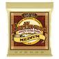 Ernie Ball 2002 Earthwood 80/20 Bronze Acoustic Guitar Strings - .013-.056 Medium