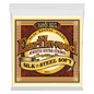 Ernie Ball 2045 Earthwood Silk and Steel 80/20 Bronze Acoustic Guitar Strings - .011-.052 Soft