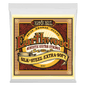 Ernie Ball 2047 Earthwood Silk and Steel 80/20 Bronze Acoustic Guitar Strings - .010-.050 Extra Soft