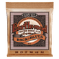 Ernie Ball 2151 Earthwood Phosphor Bronze Acoustic Guitar Strings - .010-.052 Rock and Blues