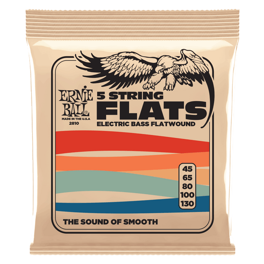 Ernie Ball 2810 Flatwound Electric Bass Guitar Strings - .045-.130 5-string